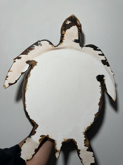 CARETTA CARETTA