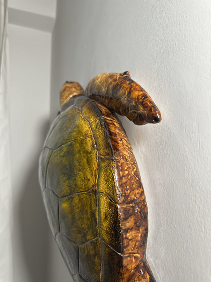 CARETTA CARETTA