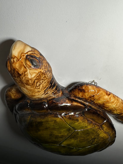 CARETTA CARETTA