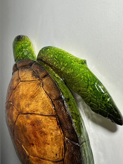 CARETTA CARETTA