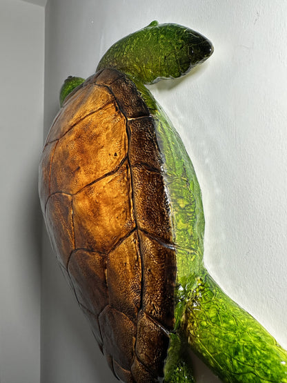CARETTA CARETTA