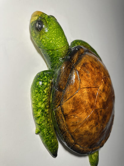 CARETTA CARETTA
