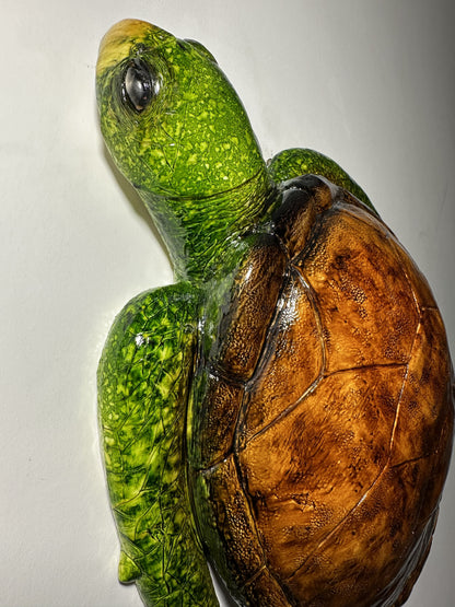 CARETTA CARETTA