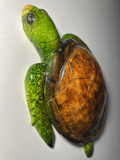 CARETTA CARETTA