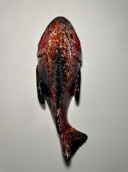 İSKORPİT BALIĞI